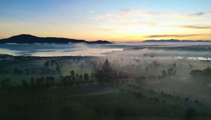 Vẻ đẹp siêu thực của vùng chè Biển Hồ trong một buổi sớm mai. Ảnh: Hùng Nguyễn