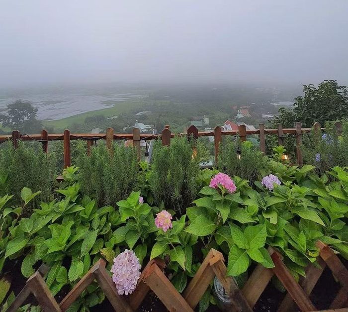 Vẻ đẹp cao nguyên mùa sương giăng. Ảnh: Thắng Trần