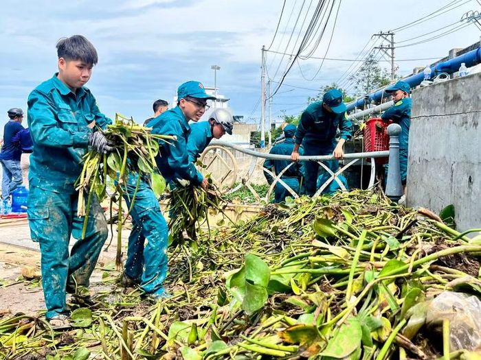 Lục bình và rác thải được tập kết trên bờ, chờ vận chuyển đến nơi xử lý theo quy định. Ảnh: Bảo Long