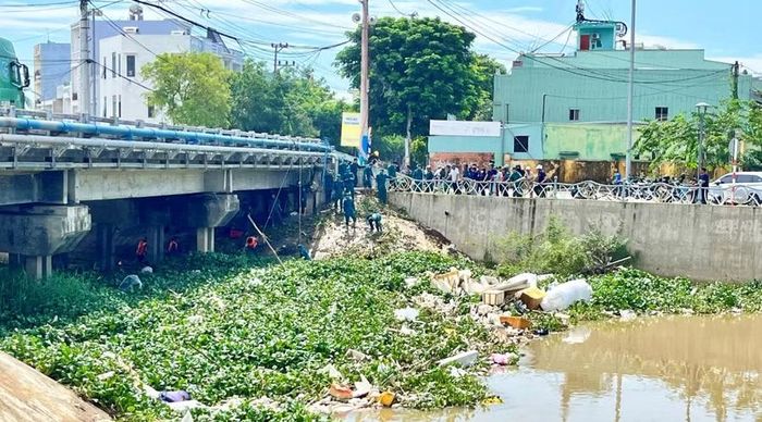 Gần 100 cán bộ, chiến sĩ và người dân phường Quy Nhơn Bắc đã ra quân thu gom rác, lục bình tại khu vực cầu Chợ Dinh. Ảnh: Bảo Long