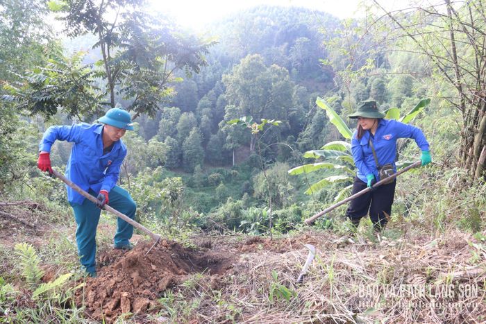 Đoàn viên, thanh niên xã hỗ trợ người dân đào hố trồng cây mắc ca