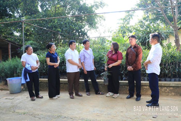 Các hộ dân tìm hiểu về cách lựa chọn cây giống tại Công ty Cổ phần Giống lâm nghiệp vùng Đông Bắc