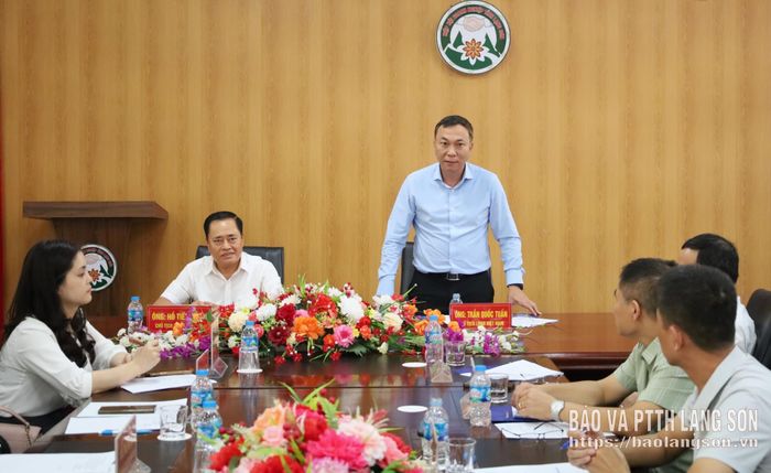 Lãnh đạo Liên đoàn Bóng đá Việt Nam phát biểu trong chương trình làm việc