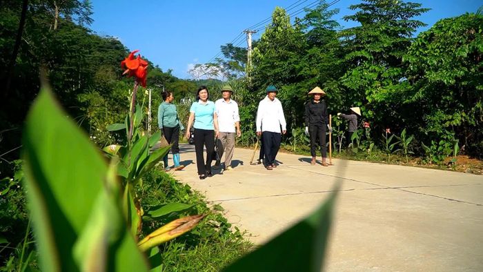 Các cấp hội phụ nữ trong tỉnh tích cực tham gia bảo vệ môi trường sáng, xanh, sạch, đẹp.