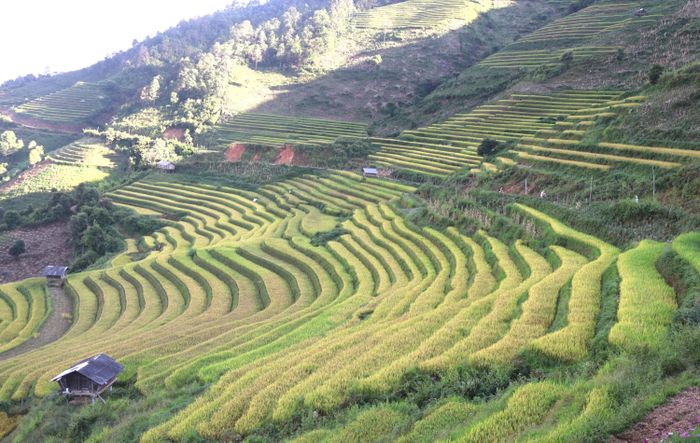 Đồng chí Giàng Quốc Hưng - Phó Chủ tịch UBND tỉnh cùng lãnh đạo xã Mù Cang Chải kiểm tra điểm du lịch Ruộng bậc thang tại Kim Nọi.