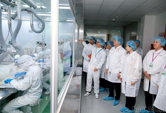 Đoàn công tác của tỉnh Lào Cai tham quan thực tế tại Công ty TNHH TERUMO BCT Việt Nam.