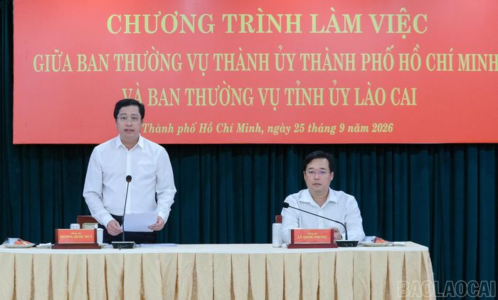 Bí thư Tỉnh ủy Dương Quốc Huy phát biểu tại buổi làm việc với Thành ủy Thành phố Hồ Chí Minh.