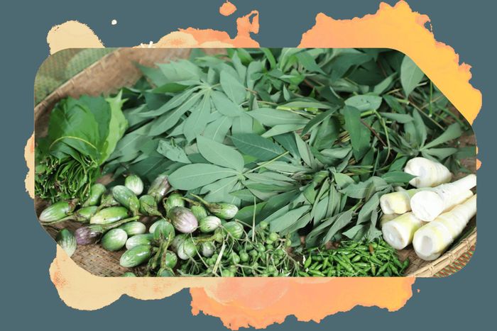 Rau bép, đọt mây, lá mì, cà đắng… những nguyên liệu mộc mạc làm nên hương vị riêng trong ẩm thực M’nông