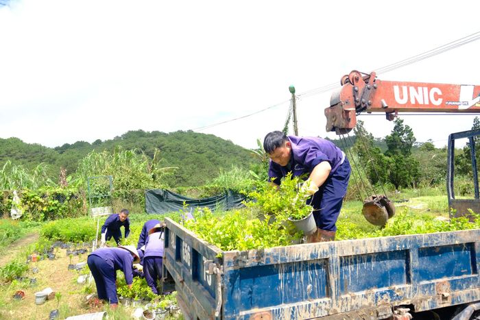 Các đơn vị đưa chậu hoa, cây cảnh thay thế và làm mới các tiểu cảnh tại những vị trí quan trọng trên địa bàn