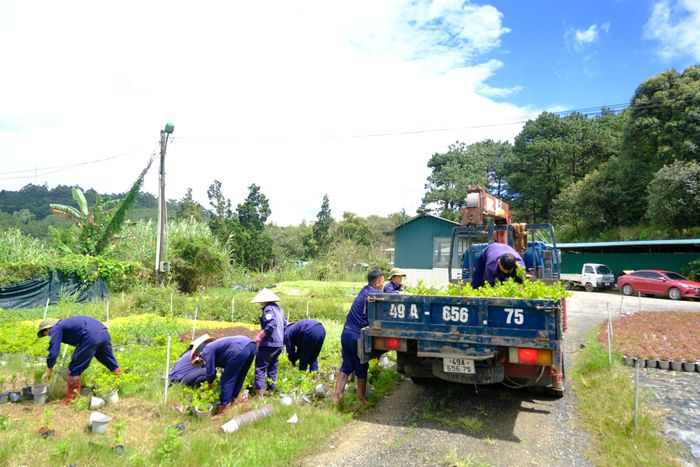 Các đơn vị đưa chậu hoa, cây cảnh thay thế và làm mới các tiểu cảnh tại những vị trí quan trọng trên địa bàn