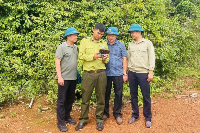 Lực lượng kiểm lâm dùng các thiết bị bay để kiểm tra rừng