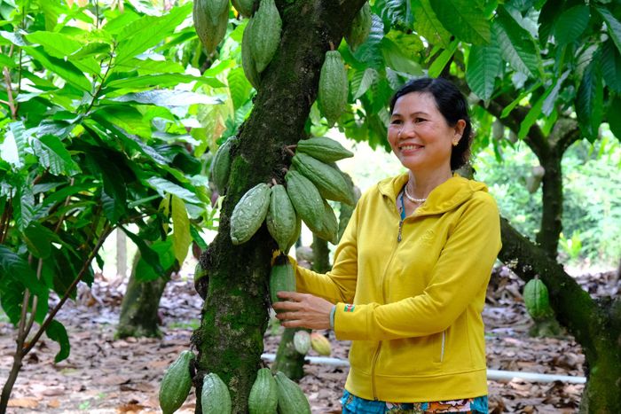 Nông dân tại xã Đạ Tẻh 2 phấn khởi khi tham gia các chuỗi liên kết trồng và tiêu thụ sản phẩm ca cao