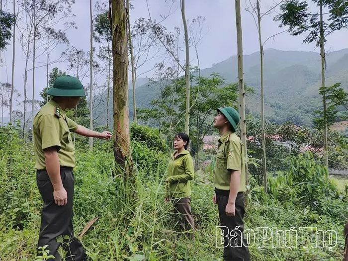 Cán bộ Hạt Kiểm lâm Yên Lập hướng dẫn người dân trong công tác quản lý rừng bền vững.