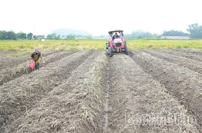 Anh Lưu Văn Chín sử dụng máy bừa phục vụ sản xuất, hỗ trợ các hộ dân trên địa bàn.