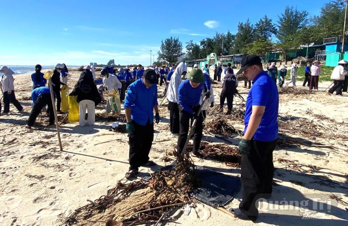 Đoàn viên, thanh niên thu gom rác thải, làm sạch bãi biển Nhật Lệ - Ảnh: K.H