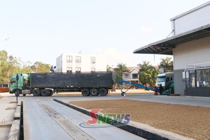 Nhà máy chế biến sâu tinh chế cà phê từ sản phẩm cà phê của Công ty cổ phần Phúc Sinh Sơn La.