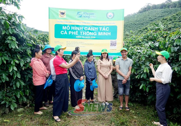 Mô hình canh tác cà phê thông minh tại xã Chiềng Mai