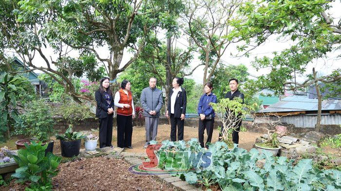 Đoàn công tác của HĐND phường Thảo Nguyên kiểm tra thực địa khu đất theo kiến nghị của gia đình bà Trần Thị Vinh, tổ dân phố Chè Đen.