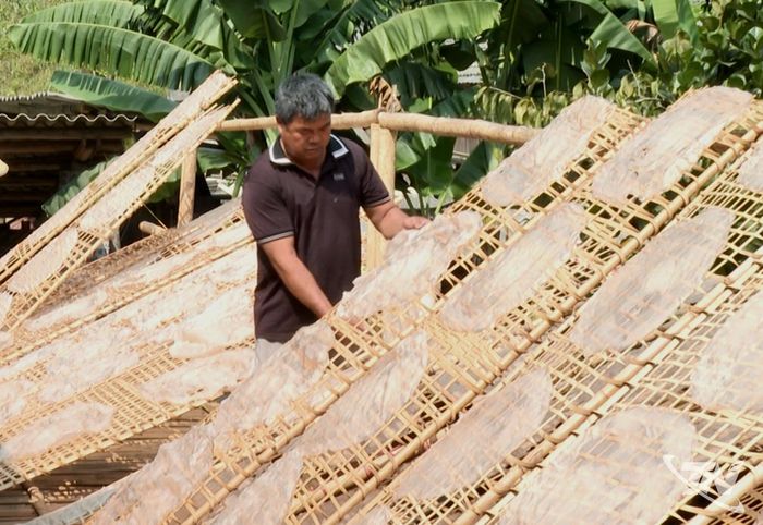Làng nghề miến dong xã Côn Minh có tiềm năng kết hợp du lịch trải nghiệm.