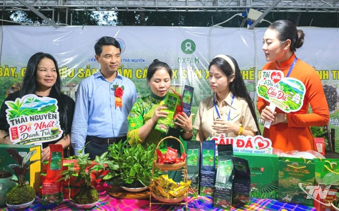 Các hợp tác xã luôn chủ động tham gia các hội chợ xúc tiến thương mại ở trong, ngoài tỉnh để tìm kiếm đối tác liên kết tiêu thụ sản phẩm, nhất là những doanh nghiệp tư nhân.