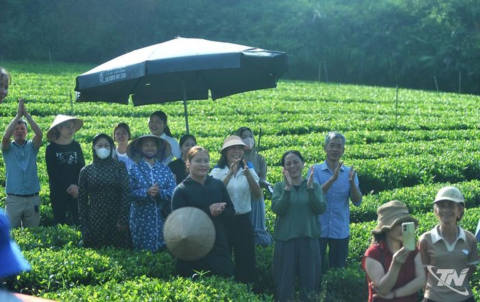 Giữa những nương chè, tiếng reo vui của khán giả tiếp thêm không khí cho cuộc tranh tài.
