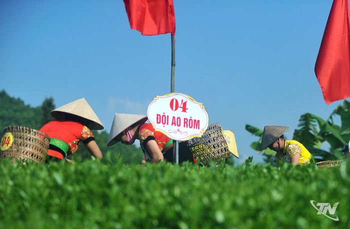 Sắc áo của những người dự thi nổi bật giữa màu xanh của chè, tạo nên một không gian đậm nét vùng trà xứ Thái.