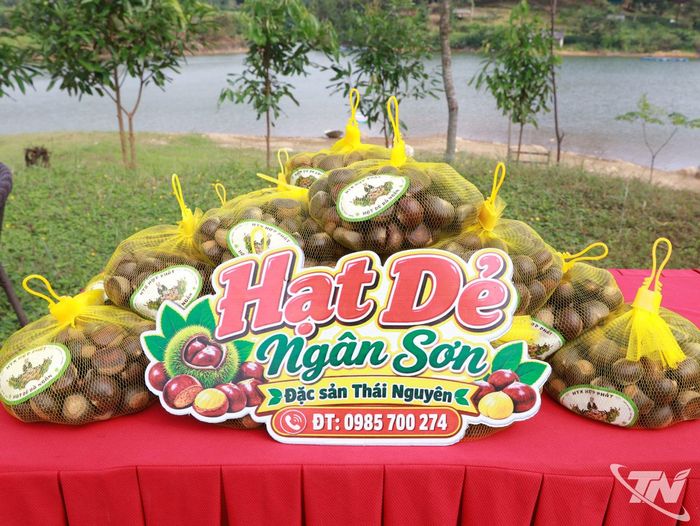 Hạt dẻ Ngân Sơn nổi tiếng với hạt to, vỏ nâu bóng, nhân bùi ngọt và thơm dẻo tự nhiên.