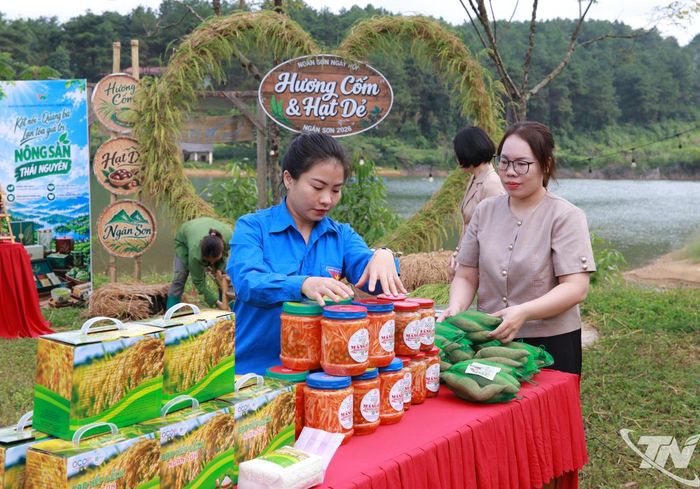 Các hợp tác xã chuẩn bị sản phẩm phục vụ phiên livestream.