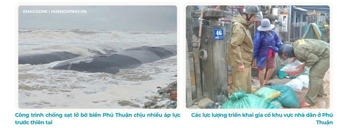 Kỳ 3: Gia cố "tấm khiên xanh" trước biến đổi khí hậu