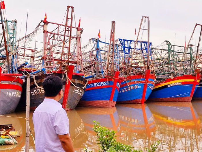 Thanh Hóa hiện có 6.190 tàu cá, trong đó chủ yếu là tàu nhỏ hoạt động ven bờ.
