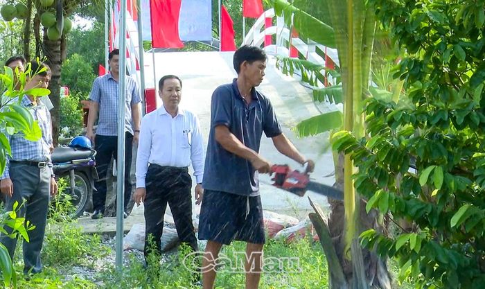  Anh Phạm Hùng Hoàng (Ấp 2, xã Phong Hiệp) chủ động cắt hạ cây ăn trái trên phần đất gia đình, tự nguyện hiến đất để làm đường.