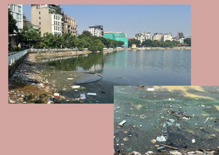Mặc hồ Ba Mẫu có nhiều rác, rong rêu tồn đọng gây mất mỹ quan đô thị, ảnh hưởng môi trường. Ảnh: An Quyên