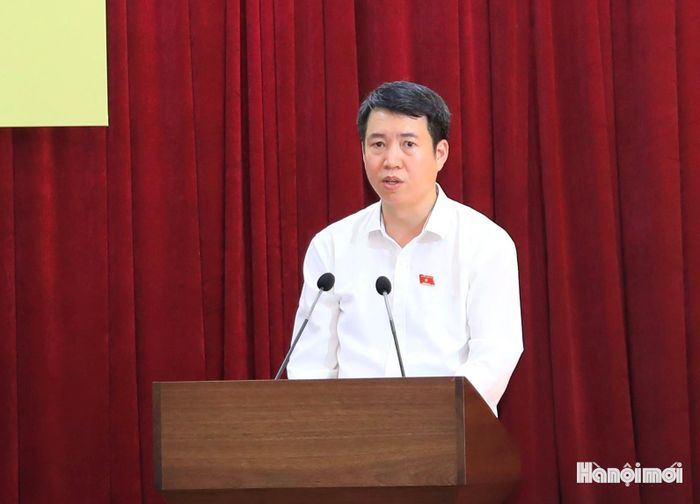 Đại biểu Nguyễn Hoàng Trường thông tin tại hội nghị.