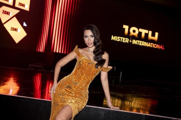 Hà Anh cho biết, cô rất hào hứng đóng góp vai trò chuyên môn của mình cho Mister International bởi đây là một cuộc thi sắc đẹp dành cho nam giới vô cùng uy tín, mang tầm cỡ chuyên nghiệp và lớn mạnh. 