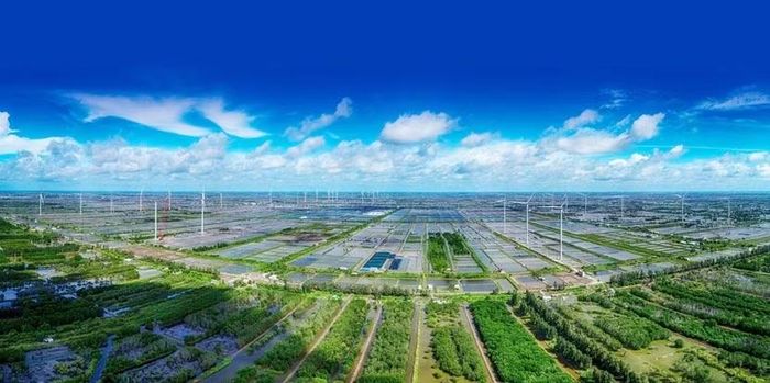 Chuyển đổi xanh không chỉ là câu chuyện môi trường mà đang trở thành chiến lược phát triển dài hạn của quốc gia