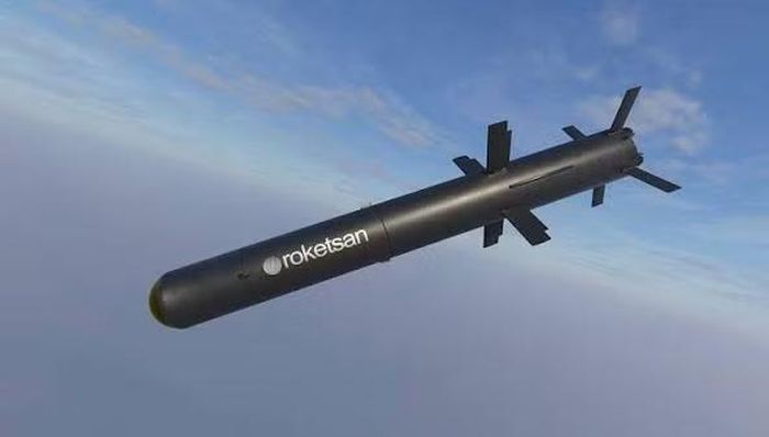 KARAOK có thể được xếp cùng nhóm với FGM-148 Javelin của Mỹ, Spike SR của Israel và một số hệ thống tên lửa chống tăng hạng nhẹ khác, mặc dù các loại vũ khí này có những đặc tính cụ thể rất khác nhau.