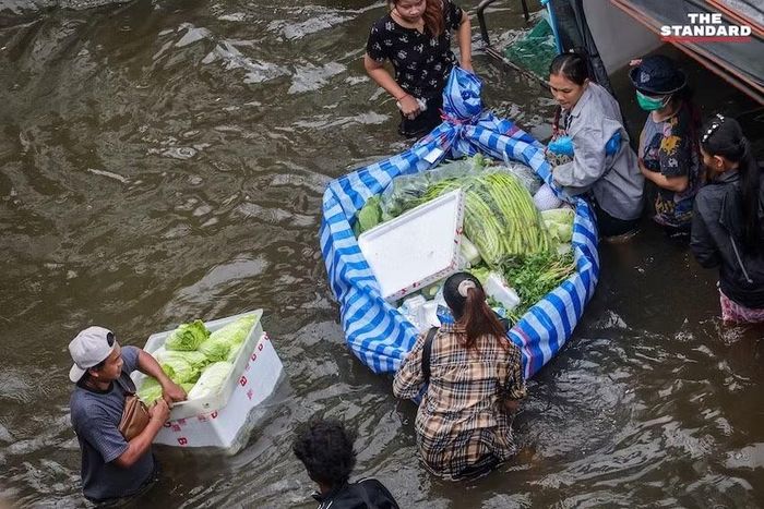 Mặc dù mực nước dâng cao gần tới bụng người dân tại khu chợ gần Pantip Bangkapi, hoạt động buôn bán vẫn tiếp diễn