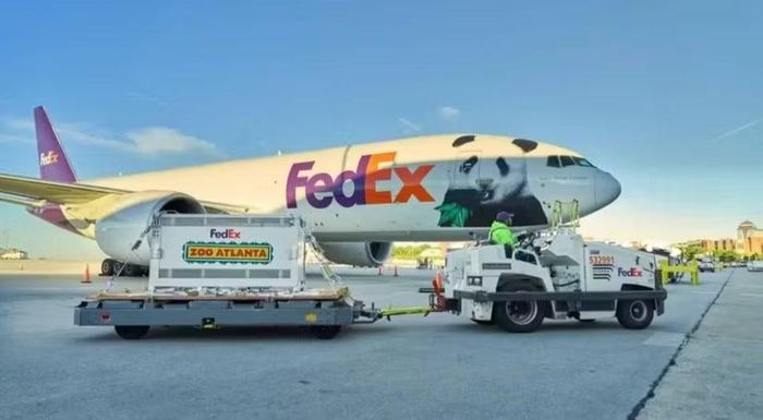 Máy bay của Fedex chở Ping Ping và Fu Shuang hạ cánh xuống Atlanta, Georgia, Mỹ