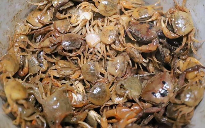 Thịt cua giàu protein và nhiều dưỡng chất, nhưng khi sơ chế nên loại bỏ mang, dạ dày, ruột và các phần nội tạng trước khi chế biến.