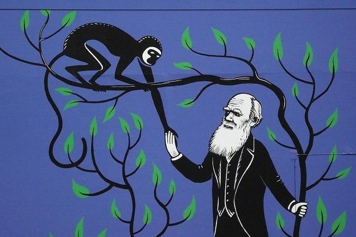  Tranh minh họa Darwin và thuyết Tiến hóa. Nguồn: serious-science 