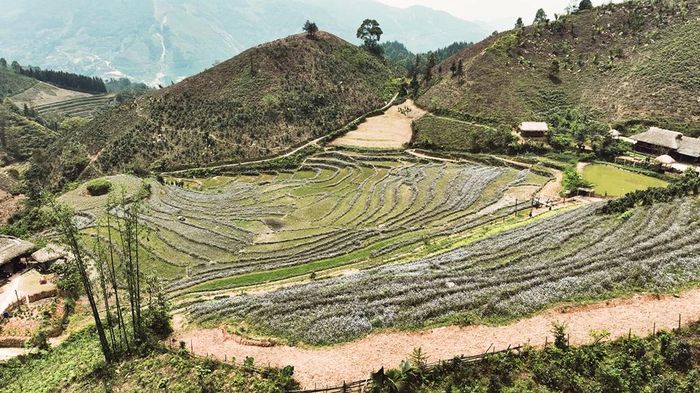 Quang cảnh thiên nhiên hùng vĩ của Việt Nam