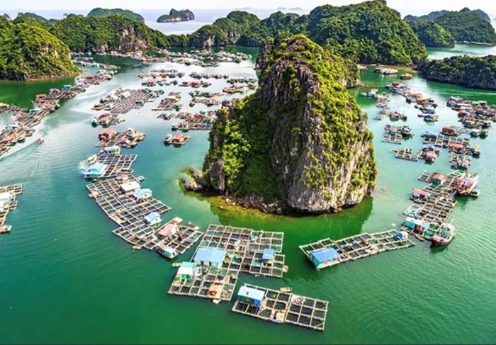 Làng chài Cửa Vạn nhìn từ trên cao
