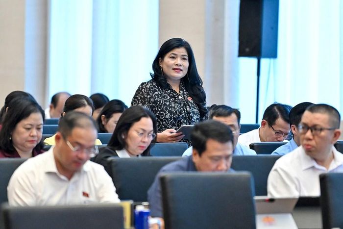 Đại biểu Đàng Thị Mỹ Hương, Phó Trưởng đoàn chuyên trách Đoàn ĐBQH tỉnh Khánh Hòa phát biểu