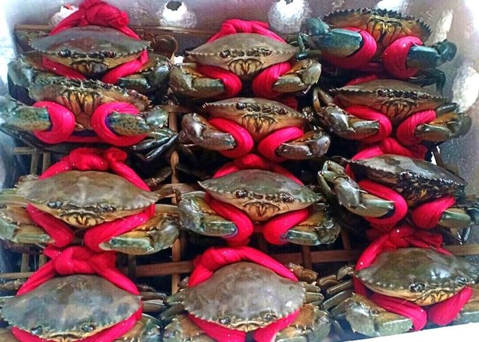 Cua Cà Mau rất ngon và rất nổi tiếng, cần khai thác tốt hơn để làm du lịch