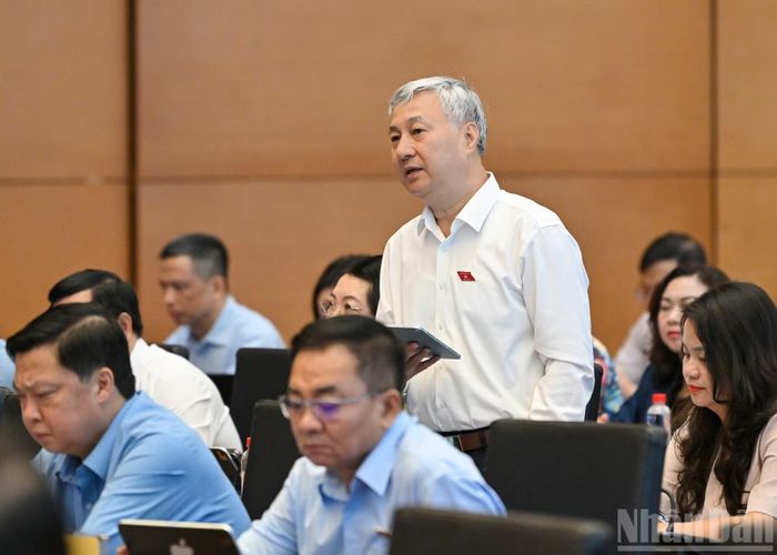 Đại biểu Quốc hội tỉnh Bắc Ninh Trần Văn Lâm phát biểu ý kiến thảo luận tại phiên họp.
