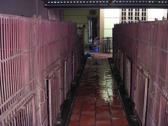 Một cơ sở nuôi nhốt gấu trên địa bàn xã Phúc Thọ (Hà Nội). (Ảnh: ENV)