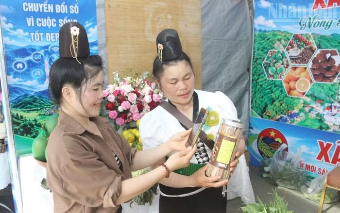 Người dân quét mã QR tìm hiểu thông tin các sản phẩm nông nghiệp của tỉnh Sơn La được các xã, phường trưng bày tại Ngày hội đổi mới sáng tạo và chuyển đổi số tỉnh Sơn La năm 2026. (Ảnh: QUỐC TUẤN)