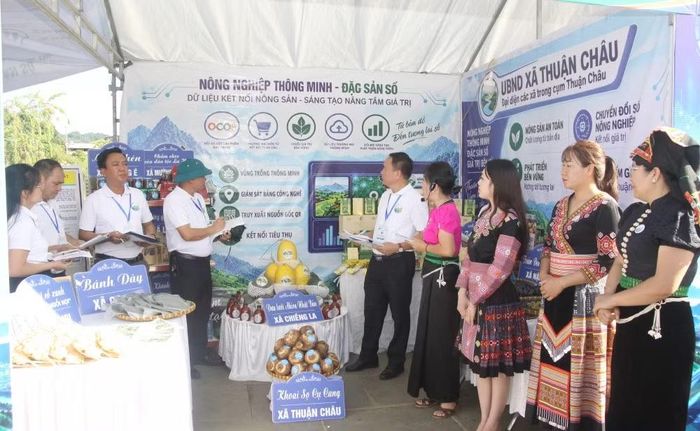 Ban giám khảo tổ chức chấm thi tại các gian hàng trưng bày của các đội thi tại Ngày hội đổi mới sáng tạo﻿ và chuyển đổi số tỉnh Sơn La năm 2026. (Ảnh: QUỐC TUẤN)