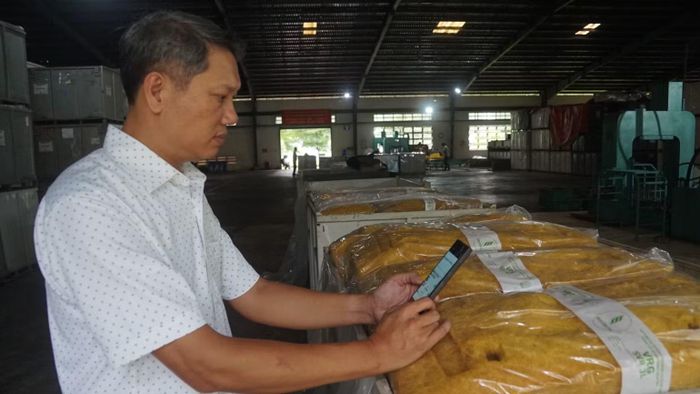 Lãnh đạo nhà máy chế biến mủ cao-su Công ty cổ phần Cao-su Việt Lào kiểm tra truy xuất nguồn gốc sản phẩm trước khi xuất kho. (Ảnh: Anh Tuấn)