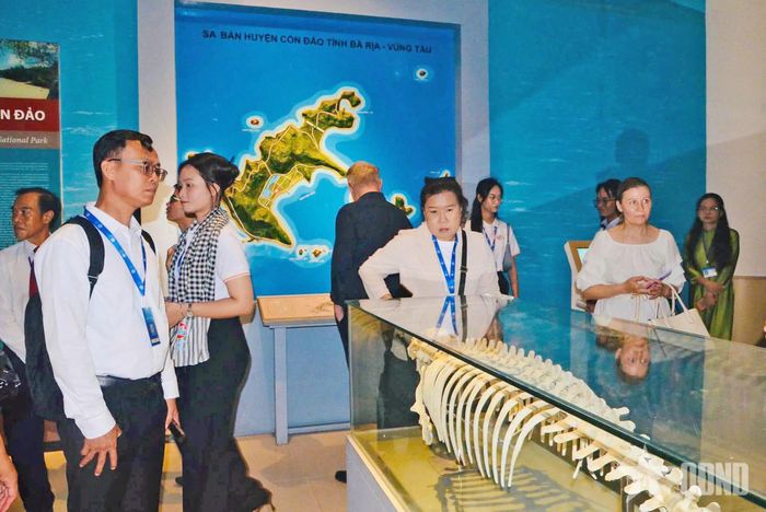  Du khách tham quan các hệ thống bảo tàng tại TP Hồ Chí Minh.
